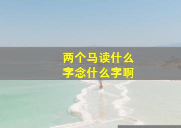 两个马读什么字念什么字啊