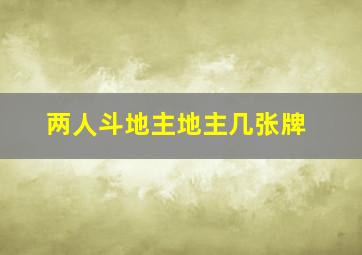 两人斗地主地主几张牌