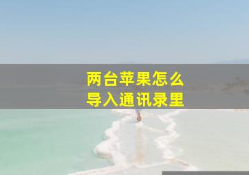 两台苹果怎么导入通讯录里