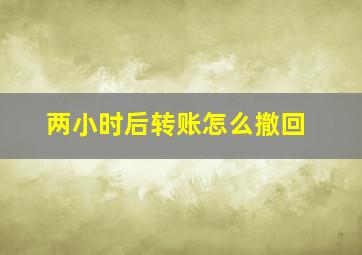 两小时后转账怎么撤回