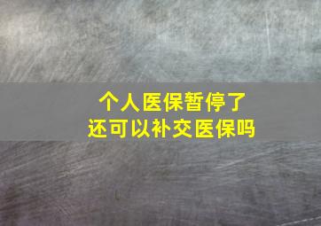 个人医保暂停了还可以补交医保吗