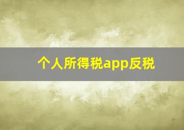 个人所得税app反税