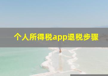 个人所得税app退税步骤