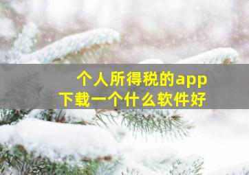 个人所得税的app下载一个什么软件好