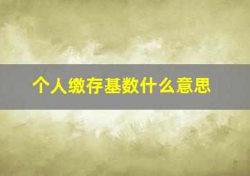 个人缴存基数什么意思