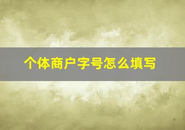 个体商户字号怎么填写