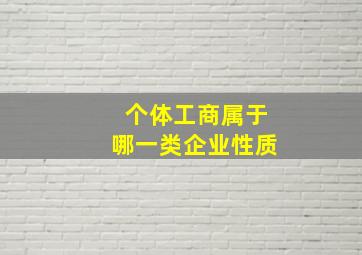 个体工商属于哪一类企业性质