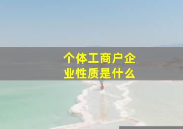 个体工商户企业性质是什么