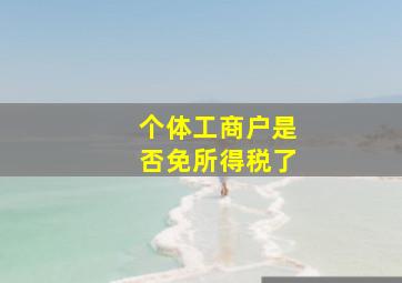 个体工商户是否免所得税了