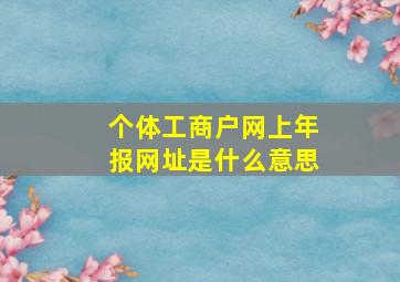 个体工商户网上年报网址是什么意思