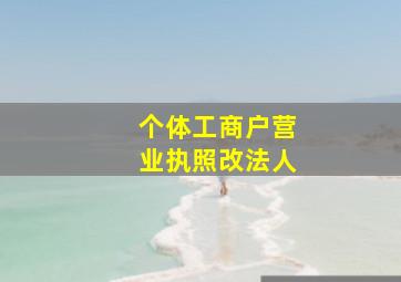 个体工商户营业执照改法人