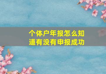 个体户年报怎么知道有没有申报成功