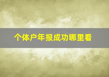 个体户年报成功哪里看