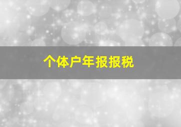 个体户年报报税