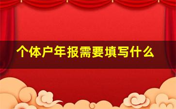 个体户年报需要填写什么