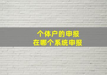 个体户的申报在哪个系统申报