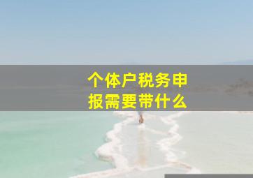 个体户税务申报需要带什么