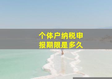 个体户纳税申报期限是多久