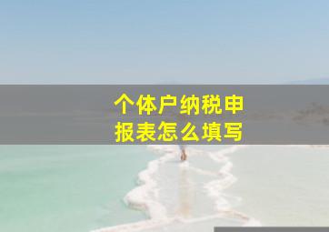 个体户纳税申报表怎么填写