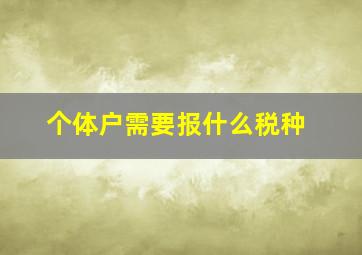 个体户需要报什么税种