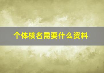 个体核名需要什么资料