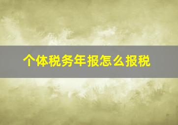 个体税务年报怎么报税