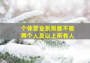 个体营业执照能不能两个人及以上所有人