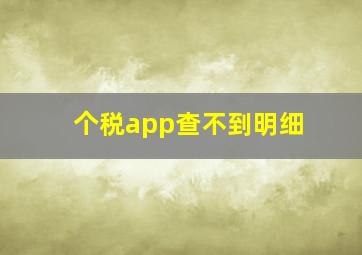 个税app查不到明细