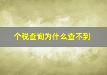 个税查询为什么查不到