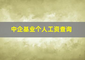 中企基业个人工资查询