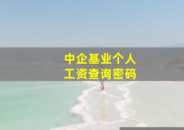 中企基业个人工资查询密码