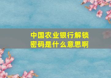 中国农业银行解锁密码是什么意思啊