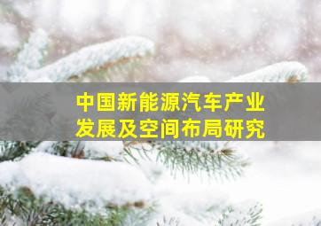 中国新能源汽车产业发展及空间布局研究