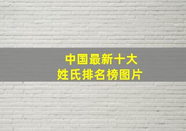 中国最新十大姓氏排名榜图片