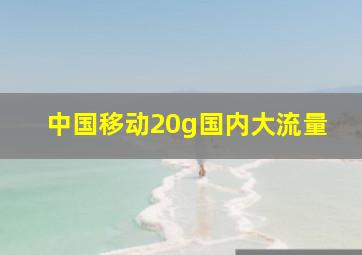 中国移动20g国内大流量