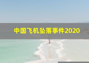 中国飞机坠落事件2020