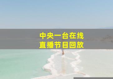 中央一台在线直播节目回放