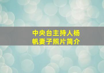 中央台主持人杨帆妻子照片简介