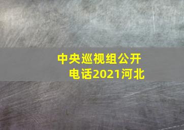 中央巡视组公开电话2021河北