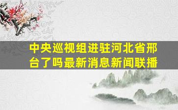 中央巡视组进驻河北省邢台了吗最新消息新闻联播