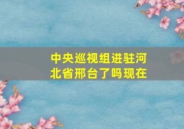 中央巡视组进驻河北省邢台了吗现在