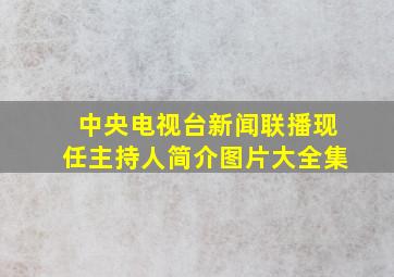 中央电视台新闻联播现任主持人简介图片大全集