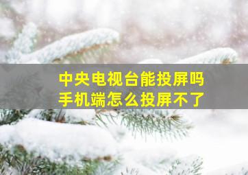 中央电视台能投屏吗手机端怎么投屏不了