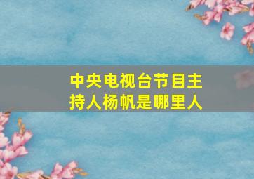 中央电视台节目主持人杨帆是哪里人