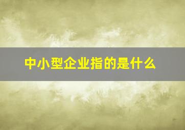 中小型企业指的是什么