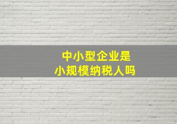 中小型企业是小规模纳税人吗