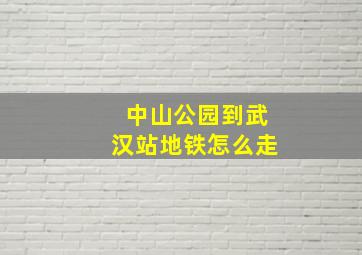 中山公园到武汉站地铁怎么走