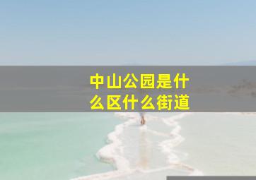 中山公园是什么区什么街道