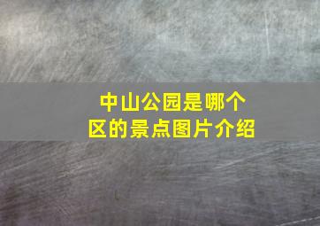 中山公园是哪个区的景点图片介绍