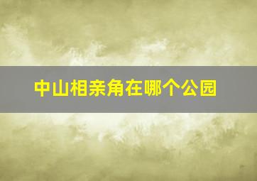 中山相亲角在哪个公园